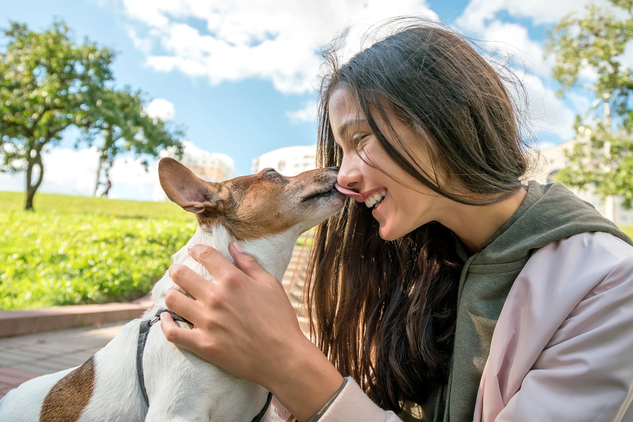 pourquoi-mon-chien-me-lèche