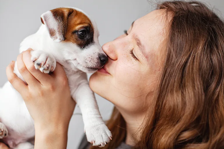 nom-de-chien-en-c-2027