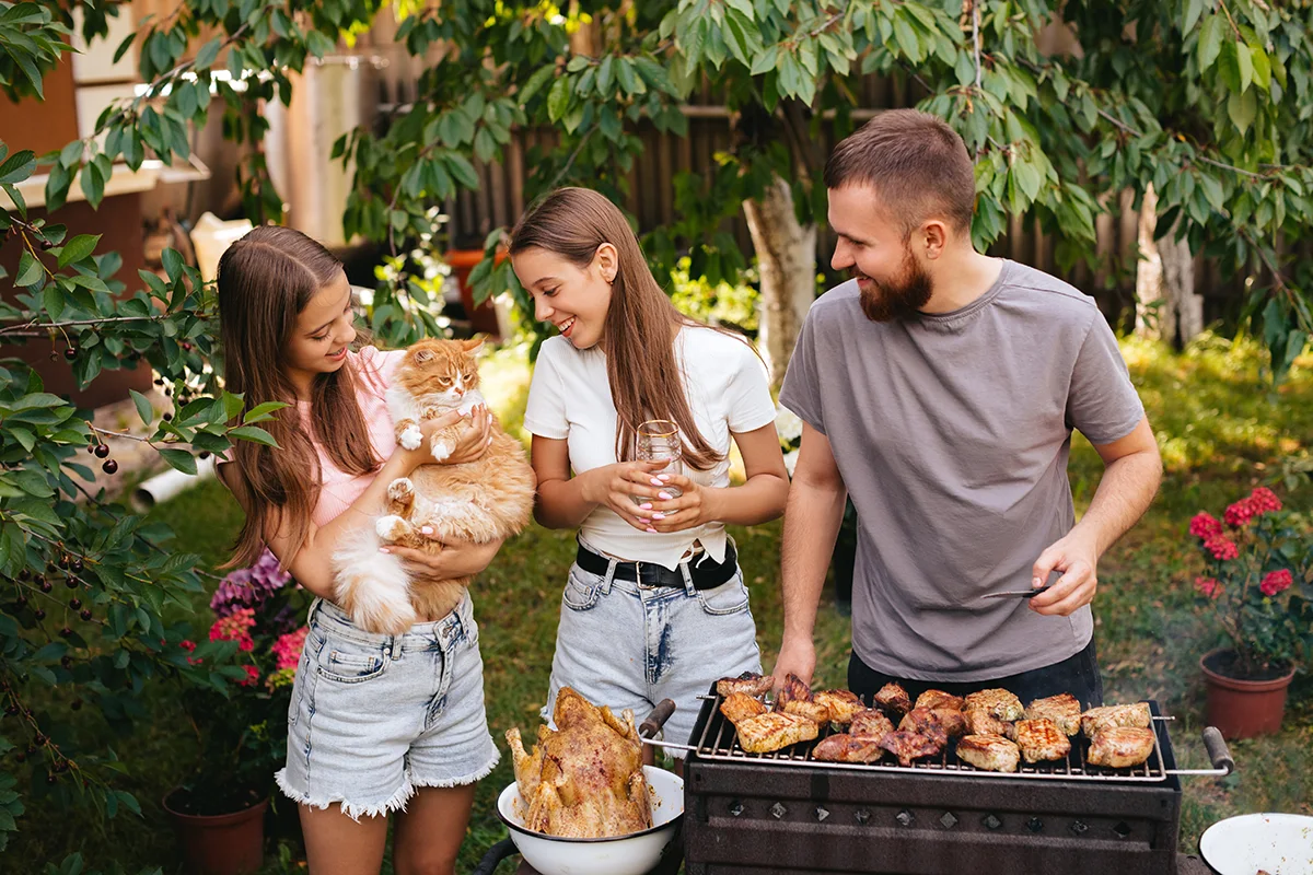 le danger du barbecue chez le chat