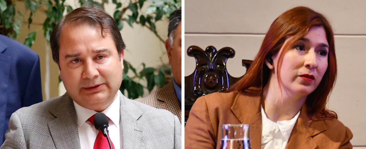 Tras polémica por pareja de diputada Pérez: RN asegura que RD utiliza esta figura en otras regiones