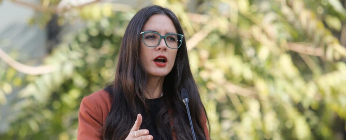 Camila Vallejo confirma que Monsalve hará una propuesta para “mejorar el despliegue” en la Macrozona Sur - Radio Agricultura