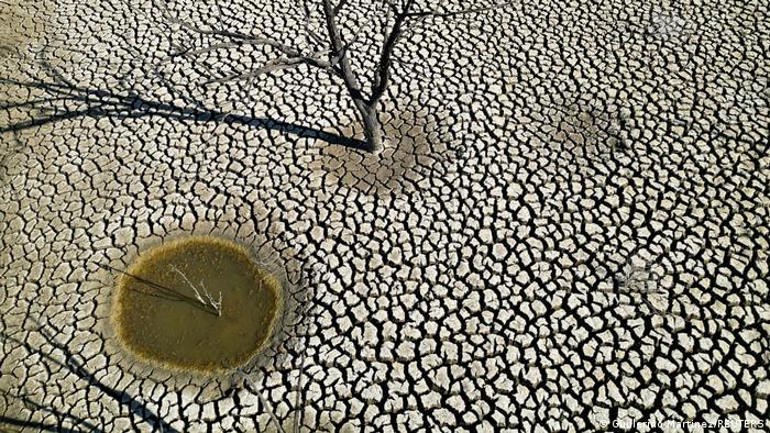 ONU advierte que extremo calor entre 2023 y 2027 enviará al mundo a un “territorio desconocido”