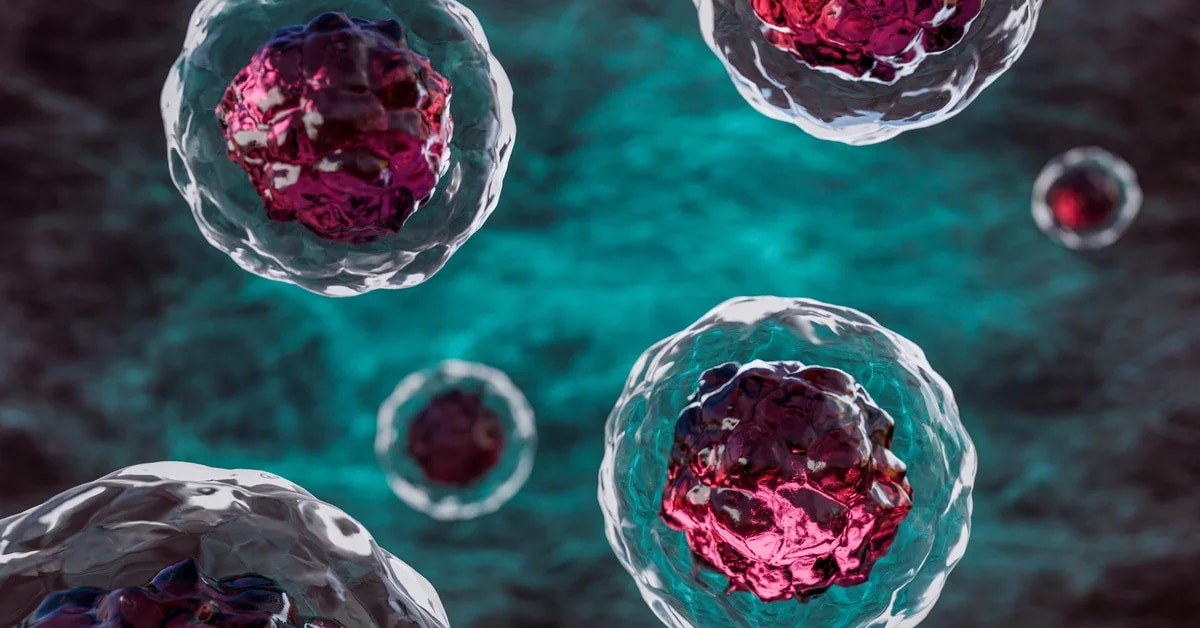 Qué es la autofagia y por qué la puede provocar el ayuno intermitente