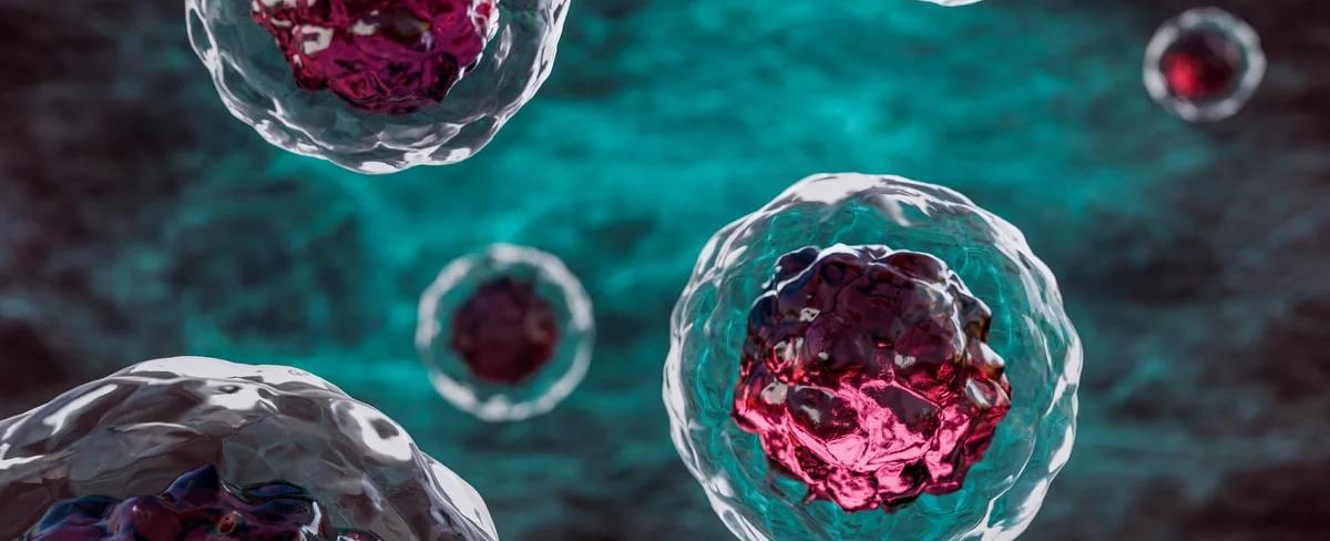 Qué es la autofagia y por qué la puede provocar el ayuno intermitente