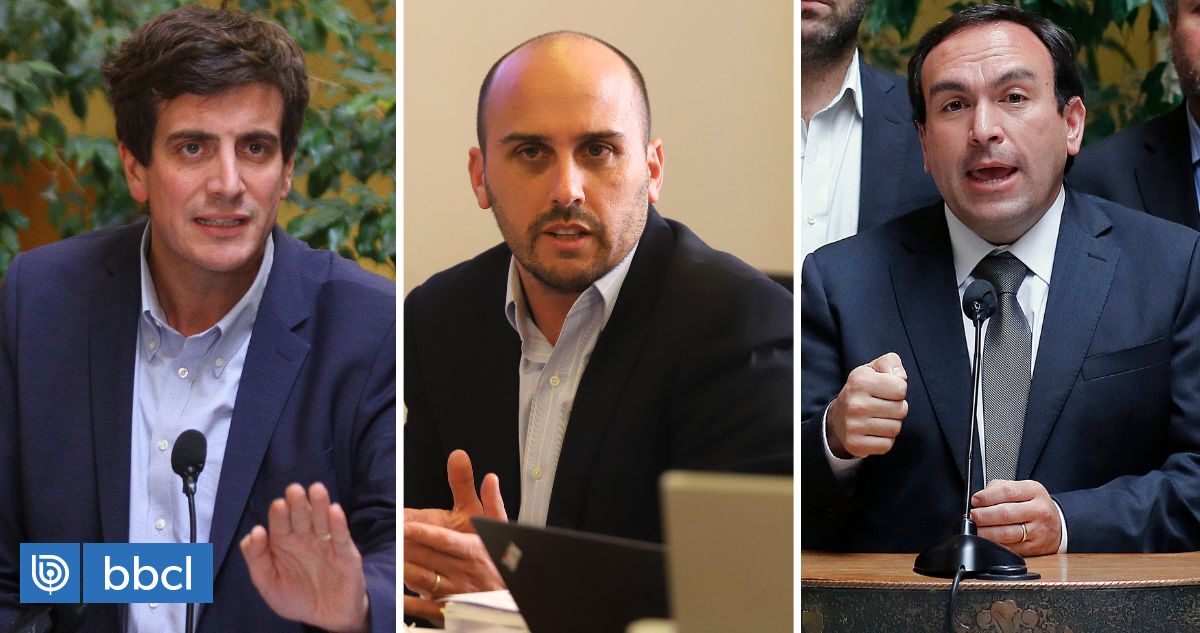 "Mira qué casualidad": Longton (RN) pidió hace tres semanas que Culturas informara tratos directos