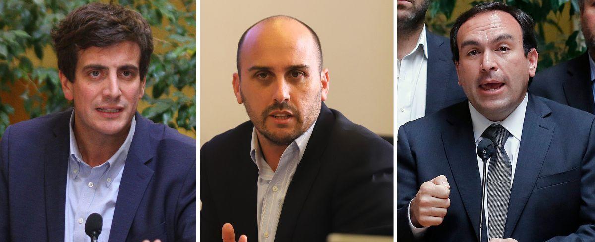 "Mira qué casualidad": Longton (RN) pidió hace tres semanas que Culturas informara tratos directos