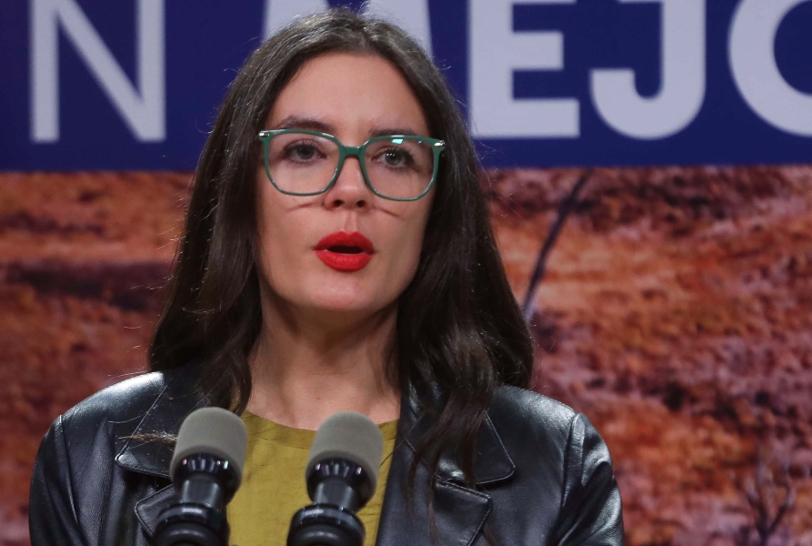 Vallejo: Isapres no pueden pretender que el gobierno las acompañe a incumplir un fallo