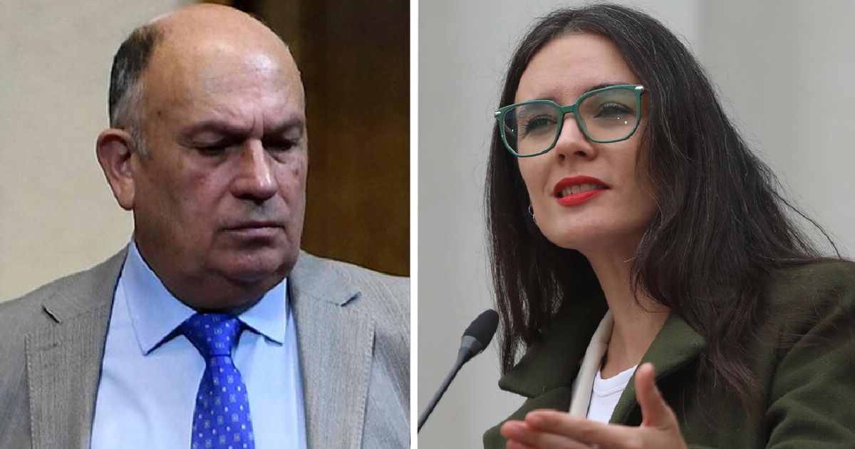 “Un video que me llegó”: Diputado UDI comparte disparatado “rumor” sobre Boric y recibe raspacachos de Camila Vallejo