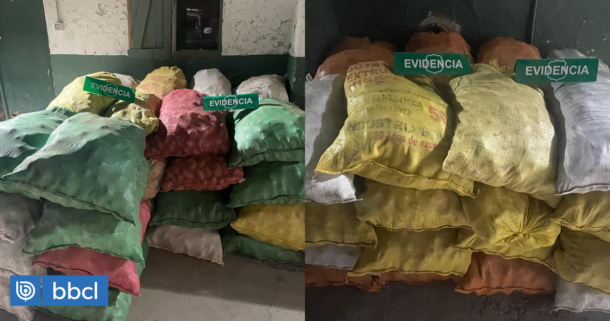 Decomisan 7 toneladas de papas que intentaban ingresar por Bolivia y Perú ante explosión de precios