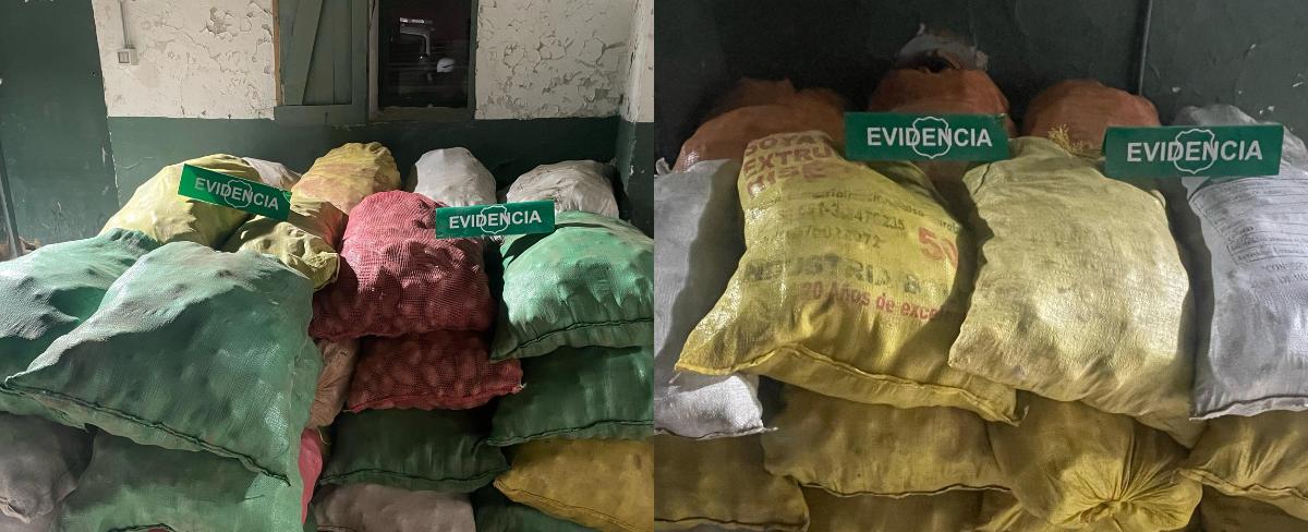 Decomisan 7 toneladas de papas que intentaban ingresar por Bolivia y Perú ante explosión de precios