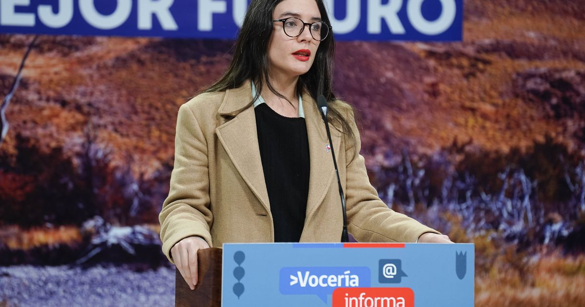 Ministra Vallejo anuncia sumario y auditoría a raíz de la muerte de menor en San Antonio