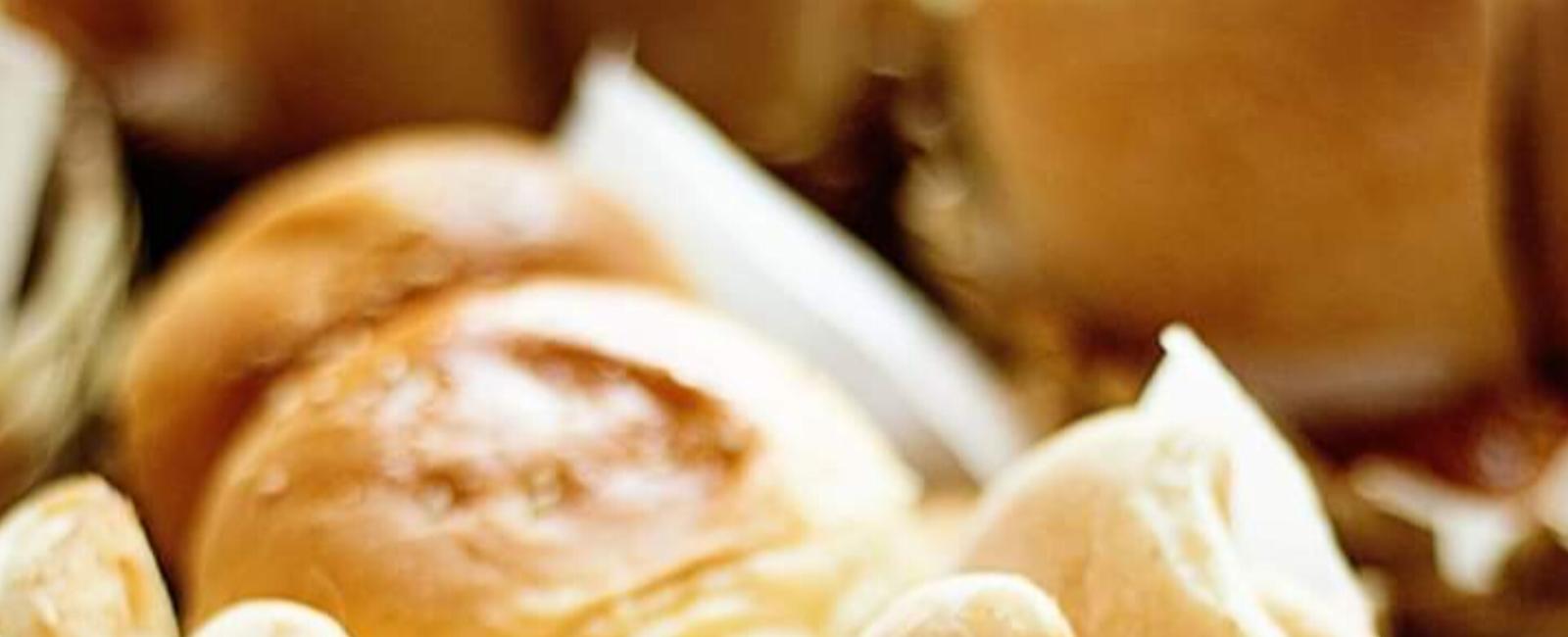 Valdivianos se informan de la importancia del pan en la dieta diaria - Informador Valdiviano