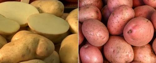 Llegó la papa argentina: ¿Cuánto cuesta y cuál es la diferencia con la chilena?