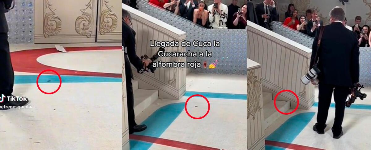 Met Gala 2023: cucaracha pasa por la alfombra roja y es fotografiada por los asistentes