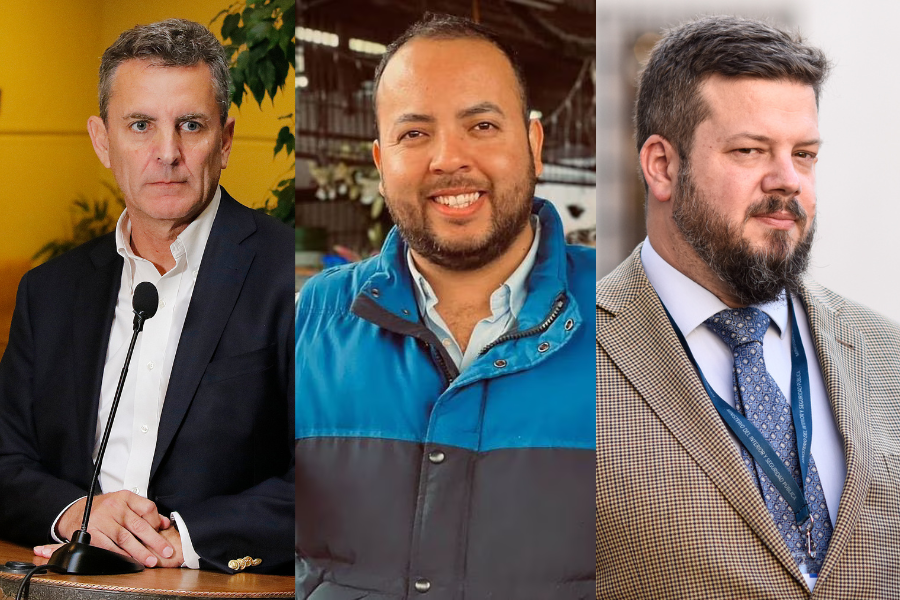 Kaiser, De la Carrera y Sanhueza: El historial de renuncias «light» de Republicanos