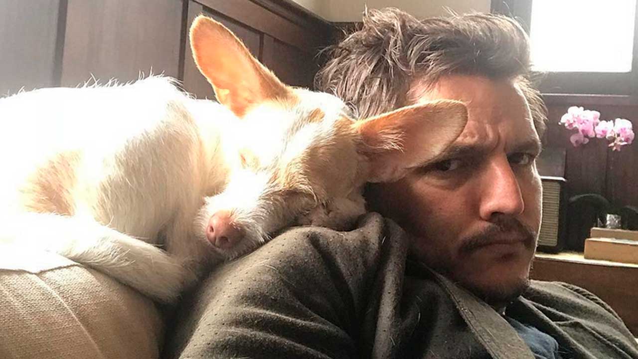 "Pedro Pascal está en un momento físico duro": el actor se prepara para tener tableta en 'Gladiator 2'