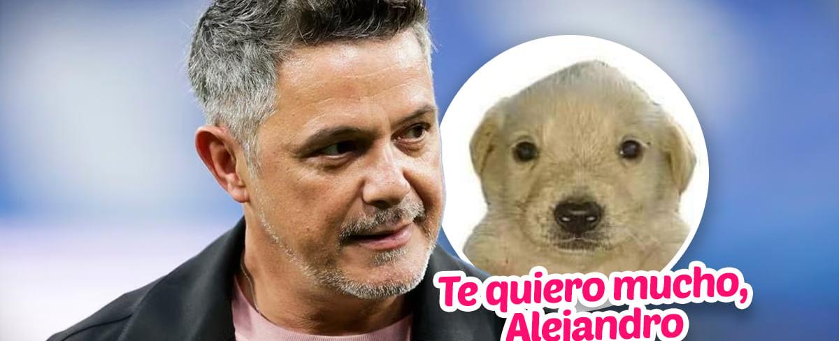 Alejandro Sanz reaparece y habla de su salud mental