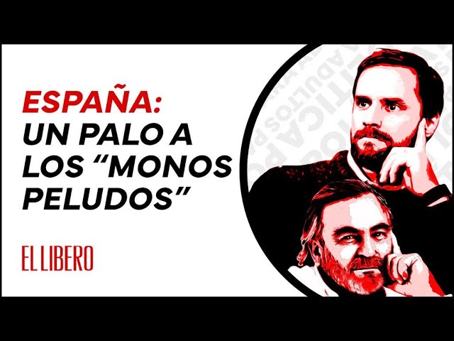 Bellolio y elecciones en España: “A la ‘derechita cobarde’ no le fue mal”
