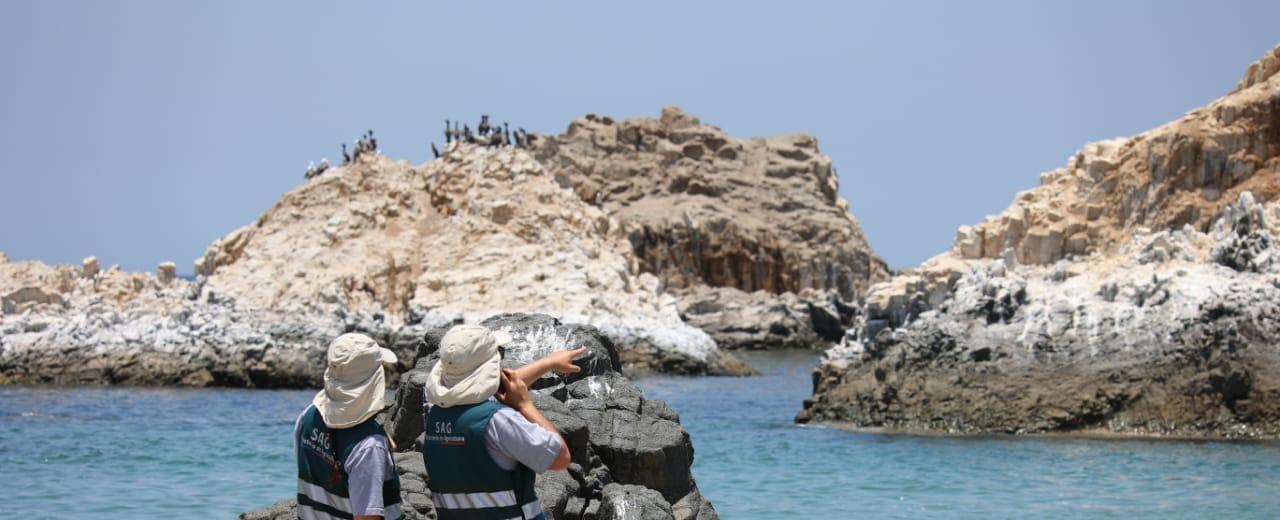 SAG levanta dos zonas bajo control zoosanitario por encontrarse libres de influenza aviar en ChoapaG levanta dos zonas bajo control zoosanitario por encontrarse libres de influenza aviar en Choapa