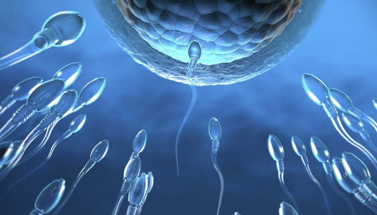 El impacto que la dieta puede tener en tu fertilidad y en la salud del feto