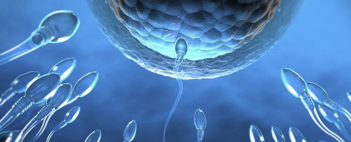 El impacto que la dieta puede tener en tu fertilidad y en la salud del feto
