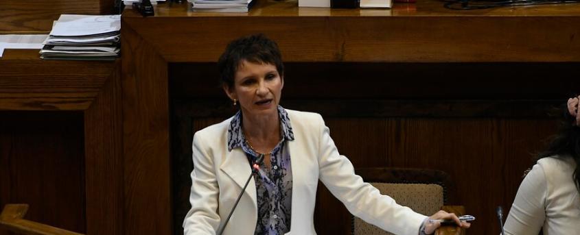 Tohá: Años con más migración irregular fue en gobierno de Piñera