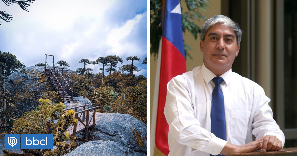 Diputado Leal (UDI) denuncia que comunidad mapuche tiene tomado el Parque Nacional Tolhuaca