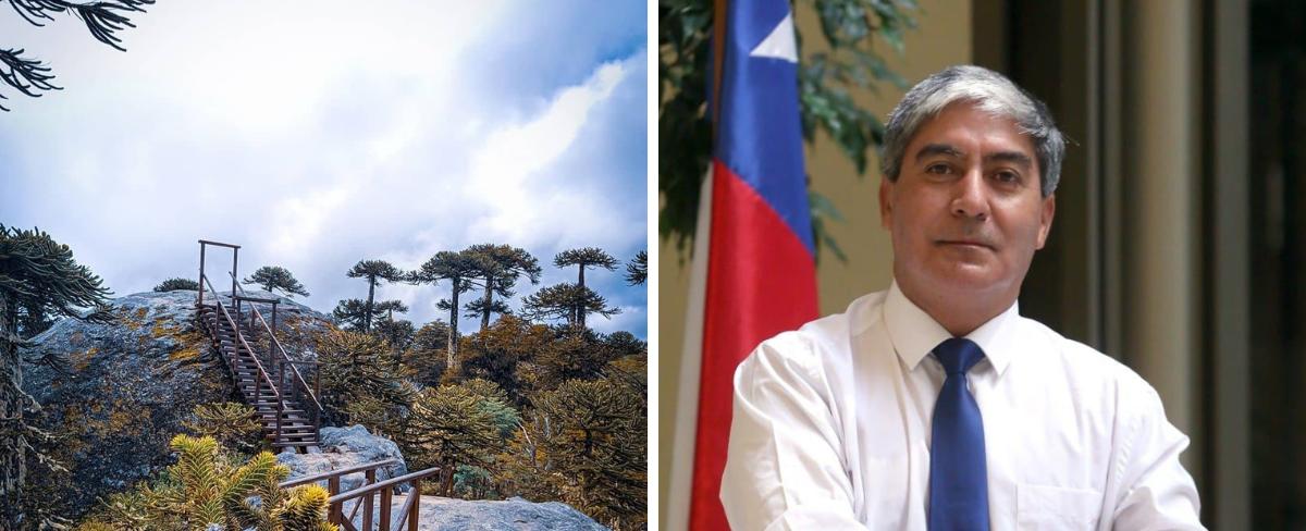 Diputado Leal (UDI) denuncia que comunidad mapuche tiene tomado el Parque Nacional Tolhuaca