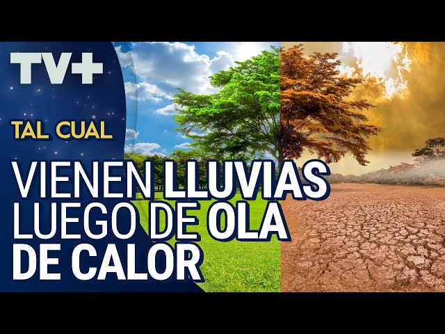¿Calentamiento global o exageración de la prensa?