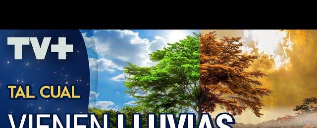 ¿Calentamiento global o exageración de la prensa?