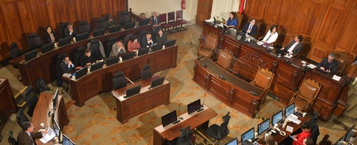 Los 51 miembros del consejo que redactará una Constitución