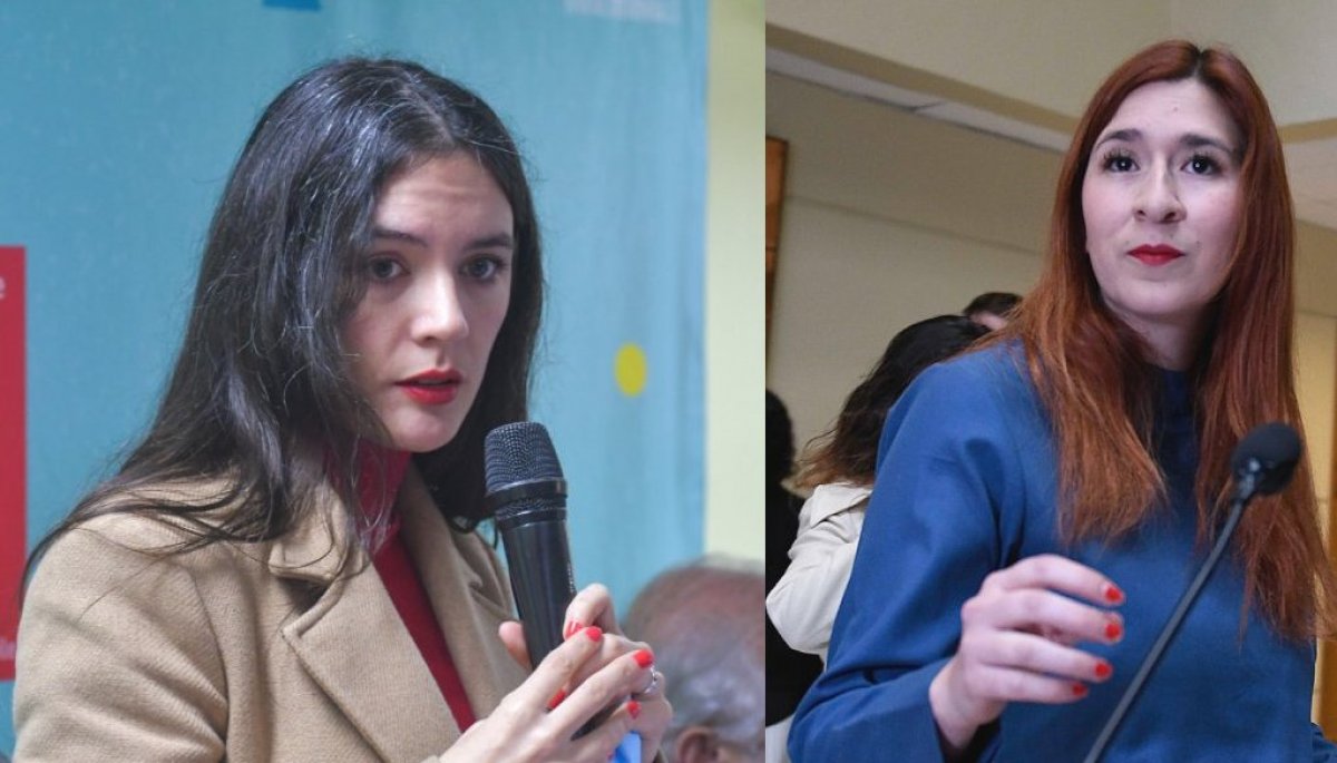 Ministra Vallejo y convenio de pareja de diputada Pérez: "Fue un total y absoluto descriterio político"