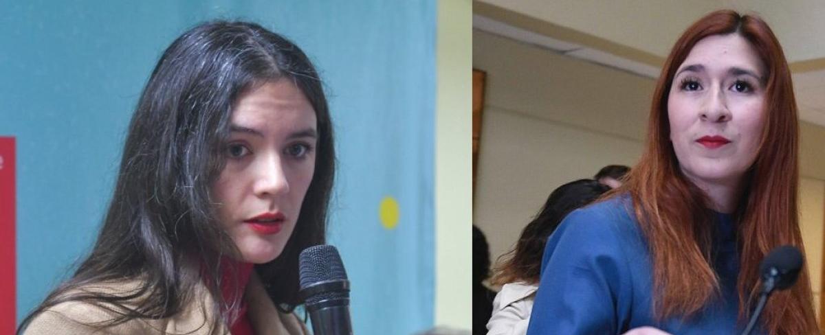 Ministra Vallejo y convenio de pareja de diputada Pérez: "Fue un total y absoluto descriterio político"