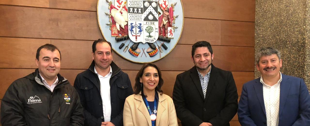 Consejeros de la Provincia de Palena impulsan la creación de programas para mejorar la salud mental y atención domiciliaria para sus vecinos