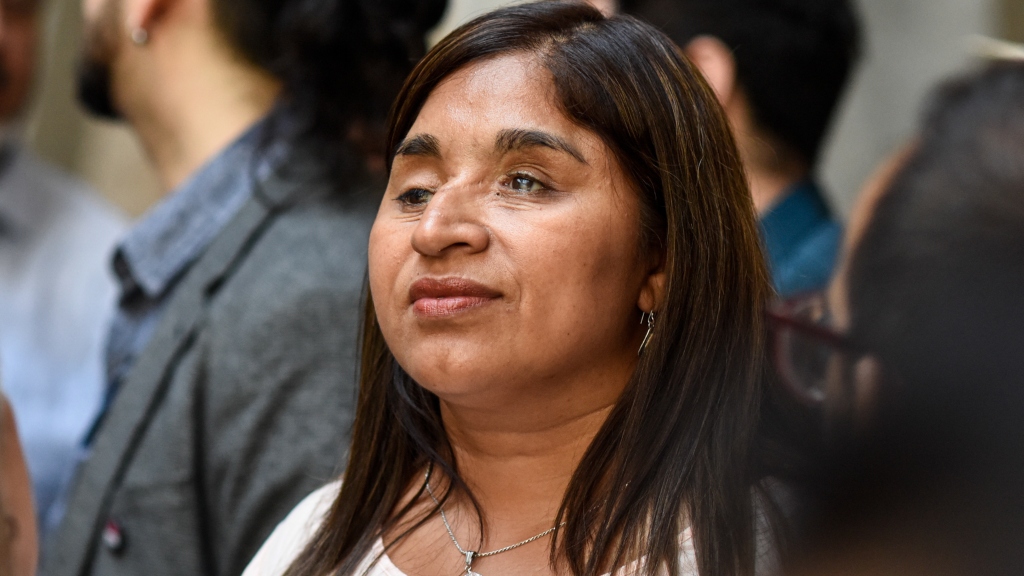 'Un buen precedente': senadora Campillai valora dictamen que obliga al fisco millonario pago por daño moral