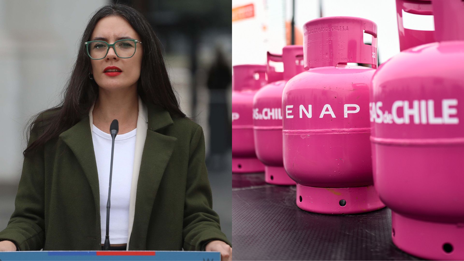 Vallejo destaca iniciativa “Gas de Chile” como oportunidad para reducir precios y mejorar competencia de mercado