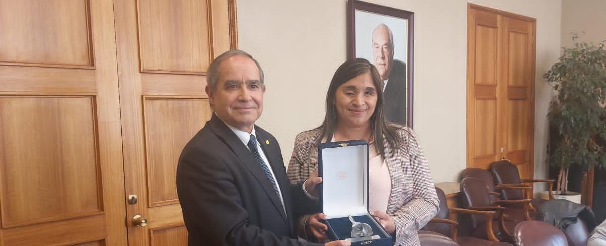 Senadora Campillai es elegida como presidenta de la Comisión de Ética de la Cámara Alta