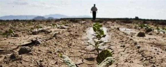 En grave peligro la supervivencia humana: Cifras alarmantes del calentamiento global