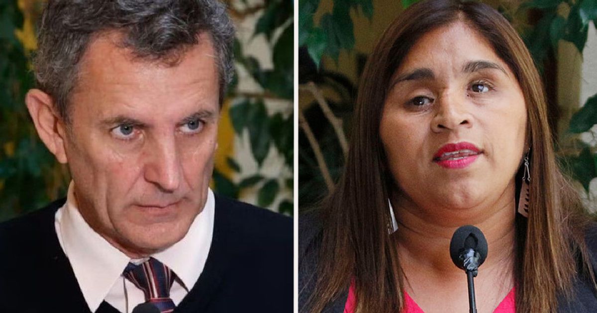 “Transforman en víctima a una octubrista”: Gonzalo de la Carrera arremete furia contra Fabiola Campillai