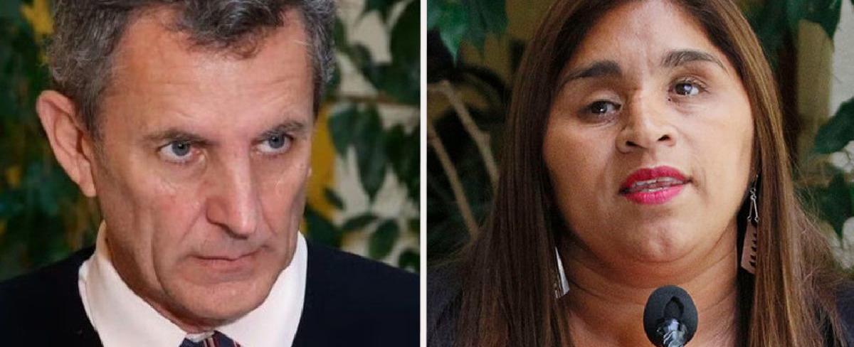 “Transforman en víctima a una octubrista”: Gonzalo de la Carrera arremete furia contra Fabiola Campillai