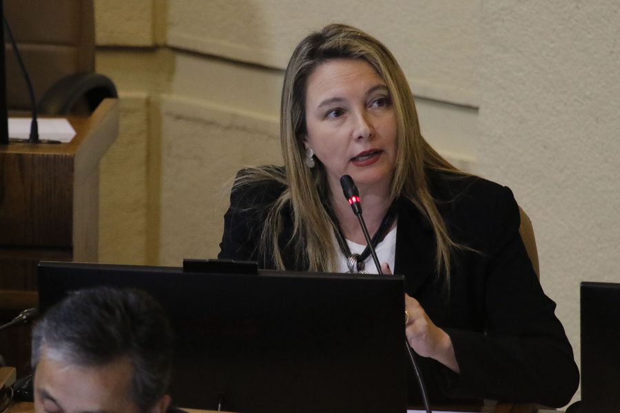 Catalina del Real critica directiva de RN y renuncia a vicepresidencia