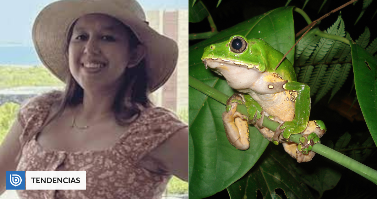 Mujer con depresión posparto muere tras ingerir veneno de rana recetado por chamán como ’tratamiento’