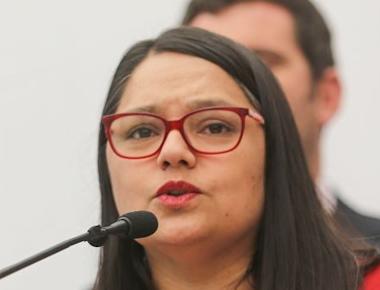 Partido Republicano asegura que la Constitución actual es buena y sólo necesita algunas modificaciones