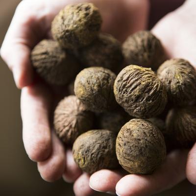 ¿Tienes el colesterol alto? Estos son los alimentos que debes incluir en tu dieta