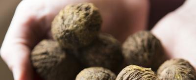 ¿Tienes el colesterol alto? Estos son los alimentos que debes incluir en tu dieta