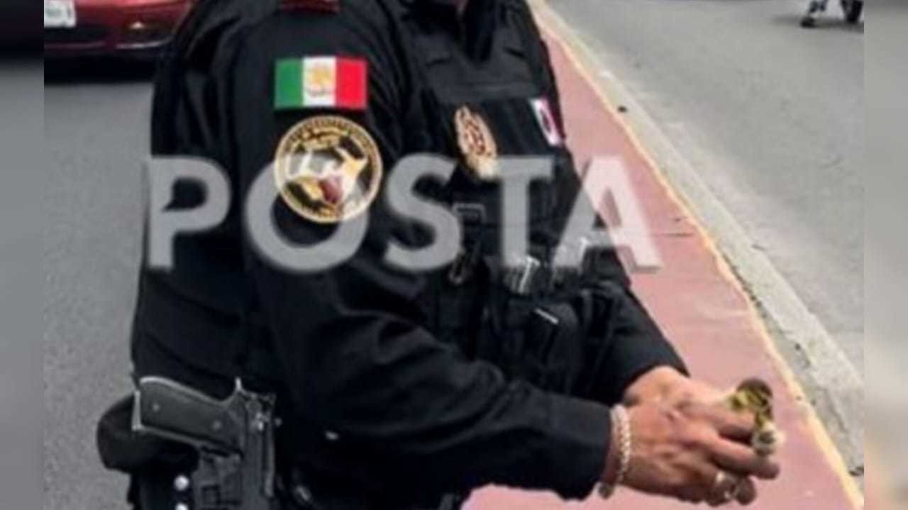 ¡Proteger y servir! Patitos cruzan Constitución, Fuerza Civil detiene el tráfico