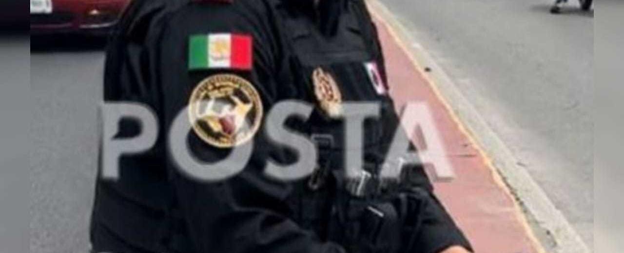 ¡Proteger y servir! Patitos cruzan Constitución, Fuerza Civil detiene el tráfico