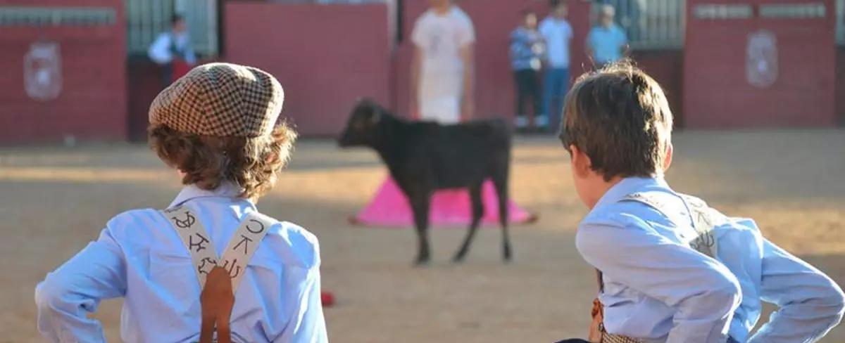 La ONU estudia cerrar la escuela taurina de Salamanca que impulsó Mañueco