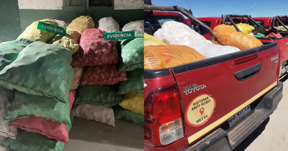 Interceptan 7 toneladas de papas de Perú y Bolivia que iban a ser comercializadas en Chile ante aumento de precios