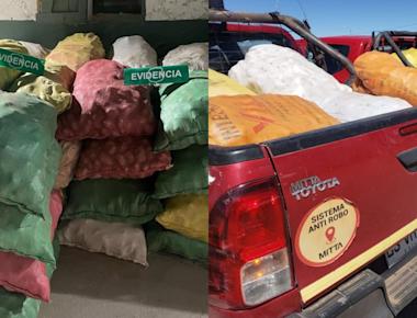 Interceptan 7 toneladas de papas de Perú y Bolivia que iban a ser comercializadas en Chile ante aumento de precios